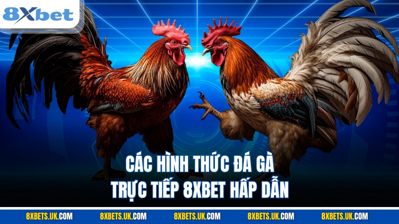Các hình thức đá gà trực tiếp 8XBET hấp dẫn